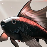 きおう