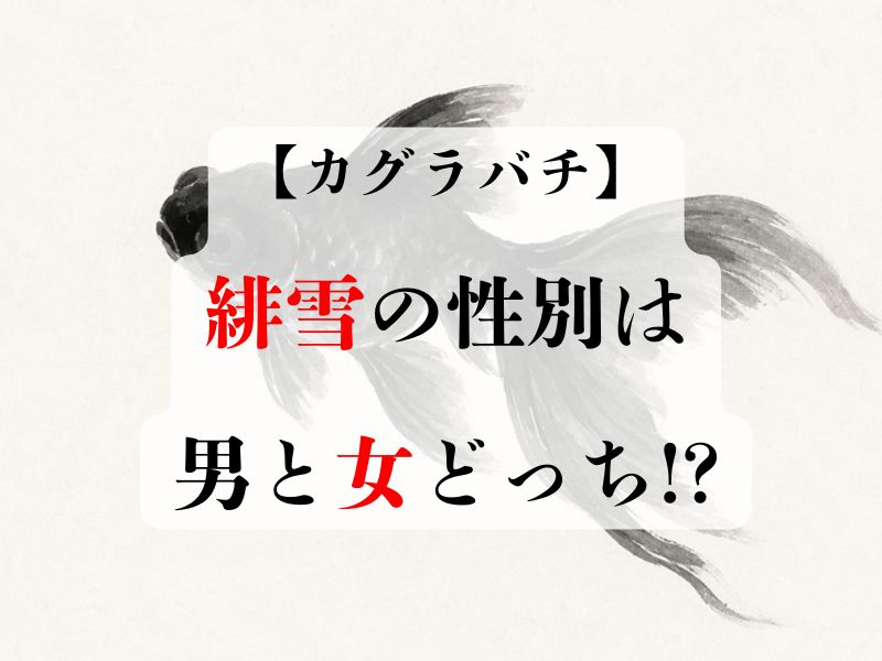 カグラバチで緋雪の性別は女なの?作中描写から徹底解説!